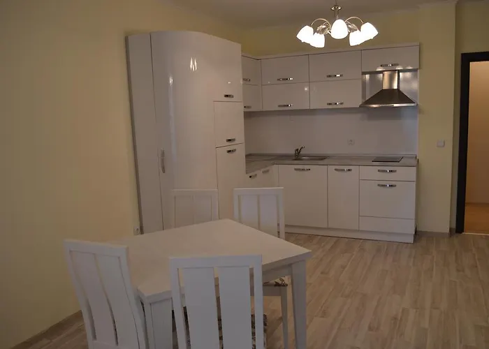 Real Black Sea Shkorpilovtsi