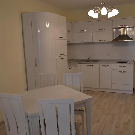 Real Black Sea 슈코르필로브치