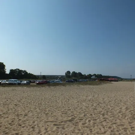 Real Black Sea 슈코르필로브치